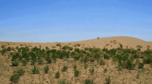 640.gif